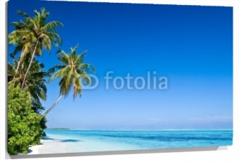 Lienzo Playa palmeras caribe